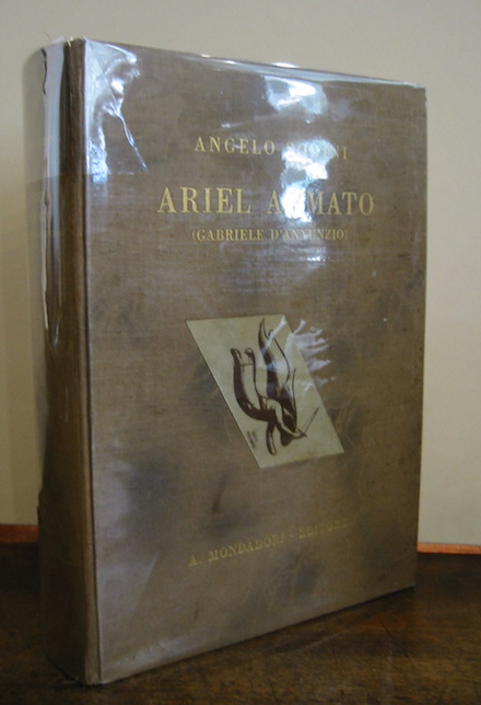 Angelo Sodini Ariel armato (Gabriele D'Annunzio) 1931 Verona A. Mondadori Editore
